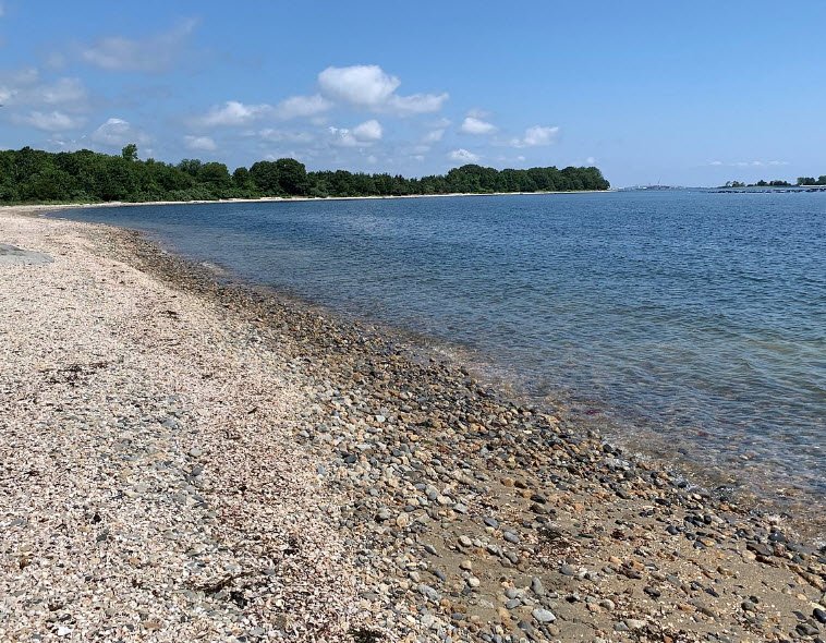 John H. Chafee Rome Point Preserve, Rhode Island, USA